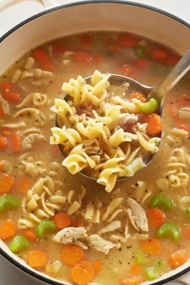 ladle chicken noodle soup square
