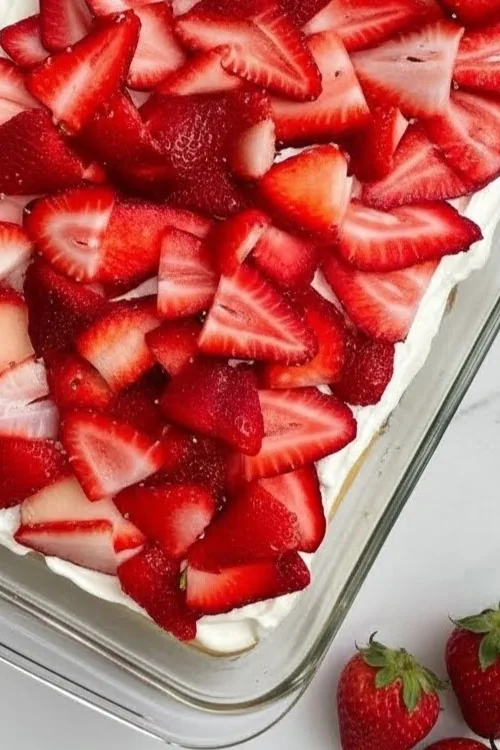 Whisk 0d9eeb744d5db74844843a789435265cdr